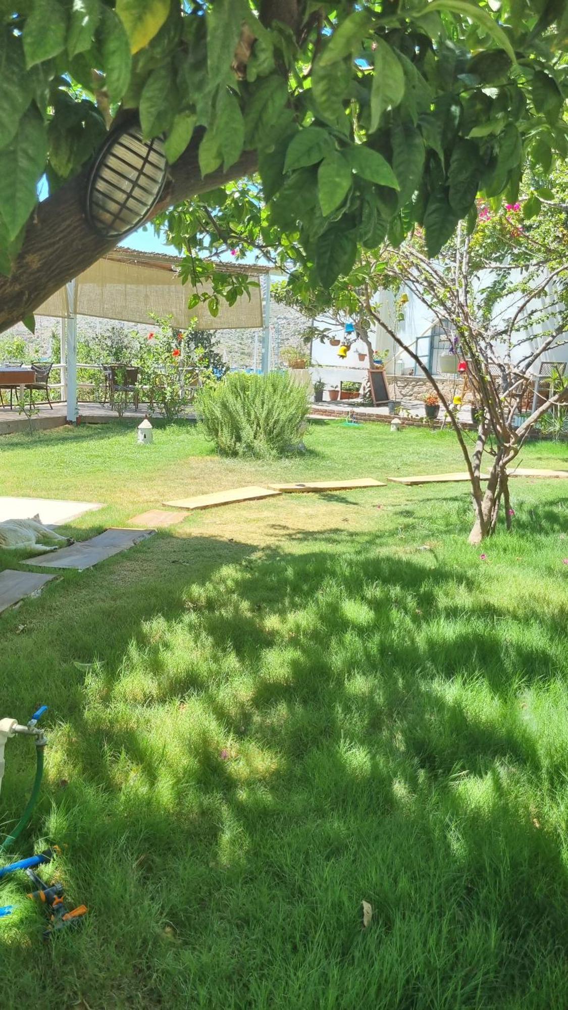 Lemon Garden Boutique Hotel Bozburun Buitenkant foto